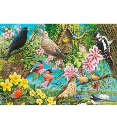 Puzzle Otter House Aves, Lo Mejor de la Naturaleza de 500 Pieza
