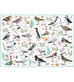 Puzzle Otter House Aves Marinas de 500 Piezas