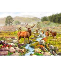 Puzzle Otter House Ciervos en National Park de 1000 Piezas