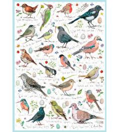 Puzzle Otter House Colección de Pájaros Silvestres de 1000 Piez