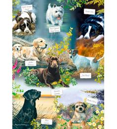 Puzzle Otter House El Mejor Amigo del Hombre de 1000 Piezas