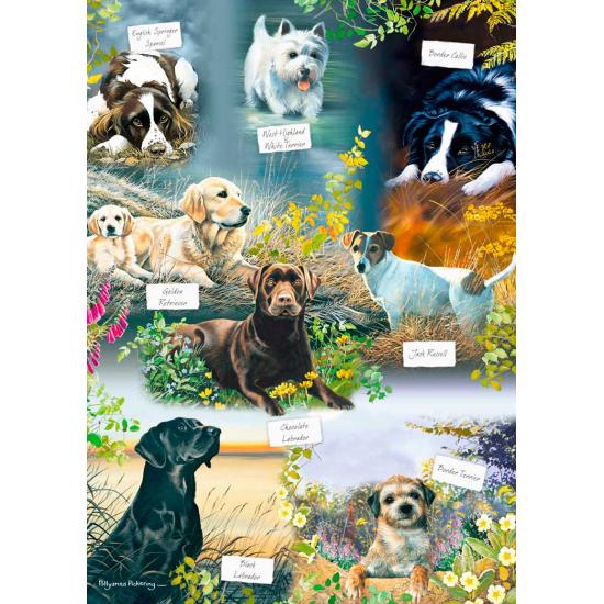 Puzzle Otter House El Mejor Amigo del Hombre de 1000 Piezas