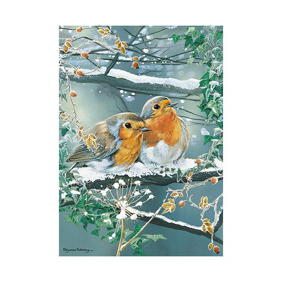 Puzzle Otter House Pareja de Pájaros en la Nieve de 1000 Piezas Puzzle Otter House Pareja de Pájaros en la Nieve de 1000 Piezas