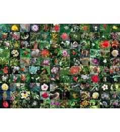 Puzzle Piatnik Collage de Flores de 1000 Piezas
