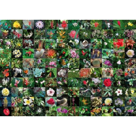 Puzzle Piatnik Collage de Flores de 1000 Piezas