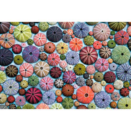 Puzzle Piatnik Erizos de Mar de 1000 Piezas Puzzle Piatnik Erizos de Mar de 1000 Piezas