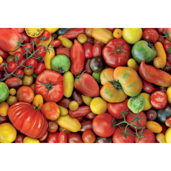 Puzzle Piatnik Tomates de 1000 Piezas