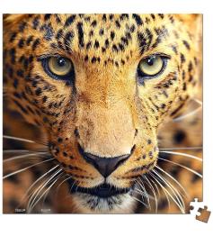 Puzzle Pintoo Primer Plano Leopardo MINIATURE de 256 Piezas