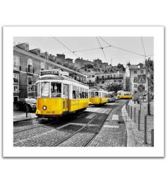 Puzzle Pintoo Tranvías en Lisboa de 500 Piezas