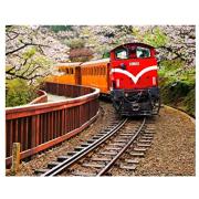 Puzzle Pintoo Tren Forestal en Parque Nacional Alishan de 500 P