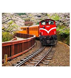 Puzzle Pintoo Tren Forestal en Parque Nacional Alishan de 500 P