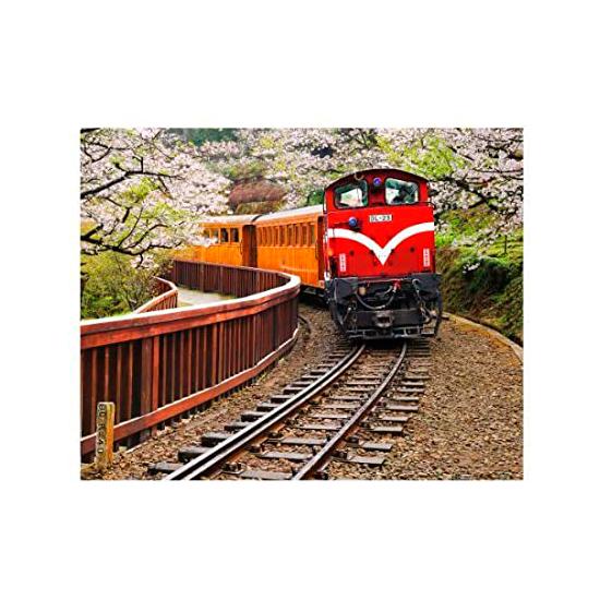 Puzzle Pintoo Tren Forestal en Parque Nacional Alishan de 500 P
