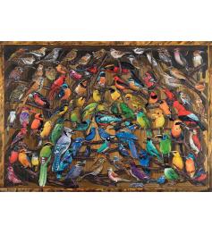 Puzzle Ravensburger Arco Iris de Pájaros de 1000 Piezas