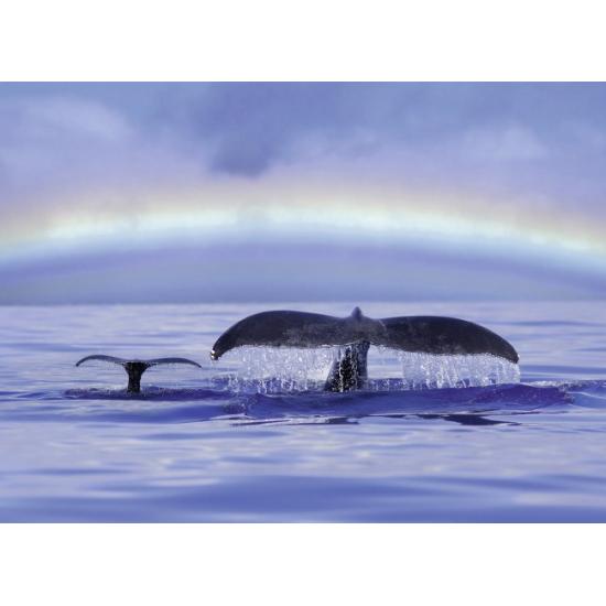 Puzzle Ravensburger Ballenas en el Océano de 500 Piezas