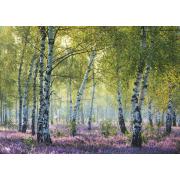 Puzzle Ravensburger Bosque de Abedules de 1000 Piezas