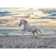 Puzzle Ravensburger Caballo Blanco de 500 Piezas