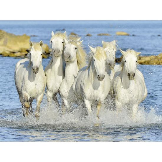 Puzzle Ravensburger Caballos en la Playa de 1500 Piezas Puzzle Ravensburger Caballos en la Playa de 1500 Piezas
