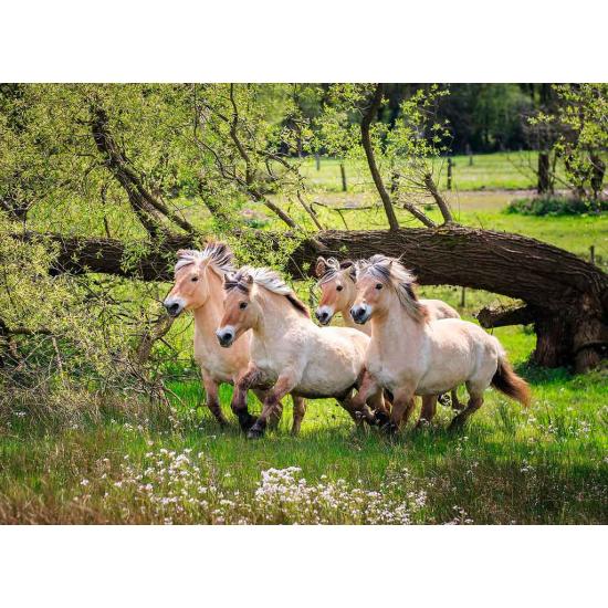 Puzzle Ravensburger Caballos Noruegos del Fiordo 500 Piezas Puzzle Ravensburger Caballos Noruegos del Fiordo 500 Piezas