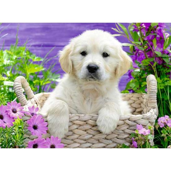 Puzzle Ravensburger Cachorro Golden Retriev de 500 Piezas