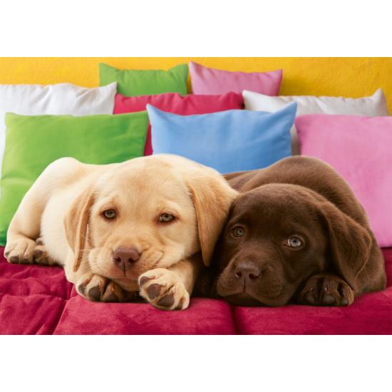 Puzzle Ravensburger Cachorros de Labrador de 1000 Piezas Puzzle Ravensburger Cachorros de Labrador de 1000 Piezas