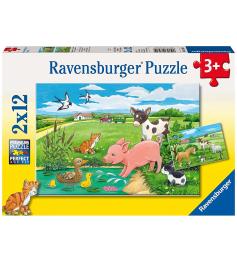 Puzzle Ravensburger Cachorros en el Campo de 2x12 Pzs