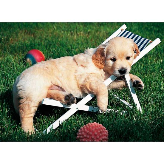 Puzzle Ravensburger Cachorros Golden Retriever 500 Piezas Puzzle Ravensburger Cachorros Golden Retriever 500 Piezas