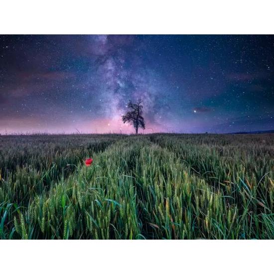 Puzzle Ravensburger Campo Nocturno Estrellado de 1500 Piezas Puzzle Ravensburger Campo Nocturno Estrellado de 1500 Piezas