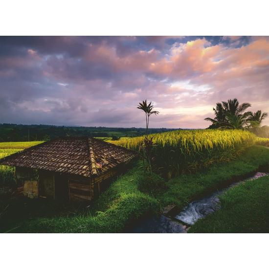 Puzzle Ravensburger Campos de Arroz en Bali de 500 Piezas Puzzle Ravensburger Campos de Arroz en Bali de 500 Piezas