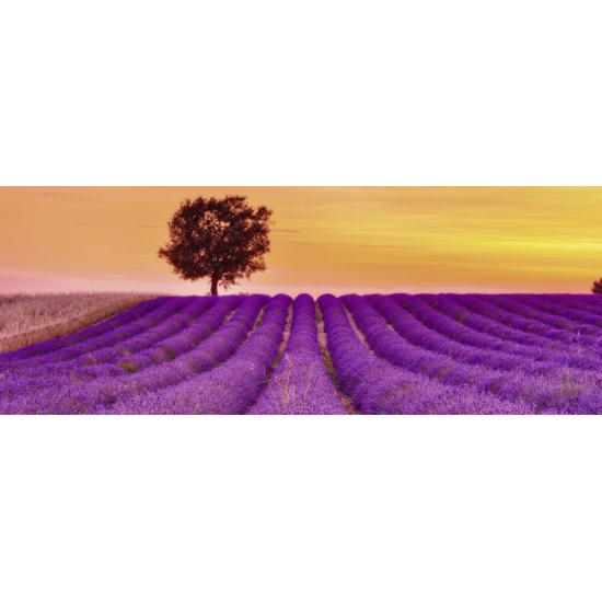 Puzzle Ravensburger Campos de Lavanda de 1000 Piezas
