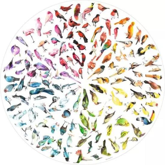Puzzle Ravensburger Circular Pájaros de 500 Piezas
