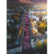 Puzzle Ravensburger Ciudad de Bonn Florecida de 1500 Piezas