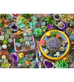 Puzzle Ravensburger Colección De Cactus de 500 Piezas