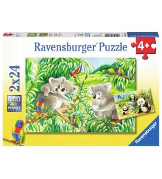 Puzzle Ravensburger Dulces Koalas y Pandas de 2x24 Piezas