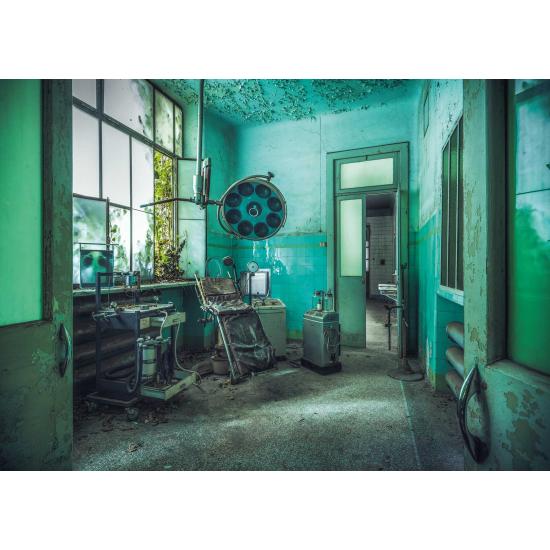 Puzzle Ravensburger El Hospital Psiquiátrico de 1000 Piezas Puzzle Ravensburger El Hospital Psiquiátrico de 1000 Piezas