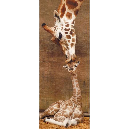 Puzzle Ravensburger El Primer Beso de 1000 Piezas