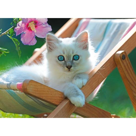 Puzzle Ravensburger Gatito Blanco XXL de 200P Puzzle Ravensburger Gatito Blanco XXL de 200P