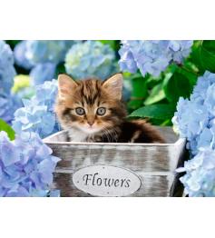 Puzzle Ravensburger Gatito de 300 Piezas XXL