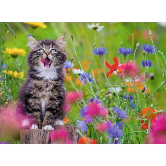 Puzzle Ravensburger Gatito en un Mar de Flores de 300 Piezas XX