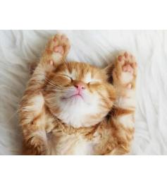 Puzzle Ravensburger Gatito Soñador de 500 Piezas