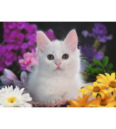 Puzzle Ravensburger Gato Brillante XXL de 100 Pzs