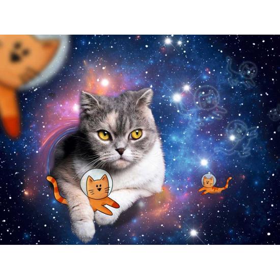 Puzzle Ravensburger Gato en el Espacio de 1500 Piezas Puzzle Ravensburger Gato en el Espacio de 1500 Piezas