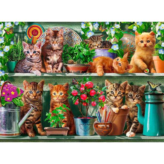 Puzzle Ravensburger Gatos en el Estante de 500 Piezas Puzzle Ravensburger Gatos en el Estante de 500 Piezas
