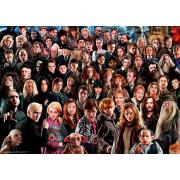 Puzzle Ravensburger Harry Potter Challenge de 1000 Piezas