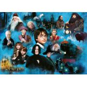 Puzzle Ravensburger Harry Potter Mundo Mágico de 1000 Piezas