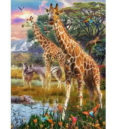 Puzzle Ravensburger Jirafas en África XXL de 150 Piezas