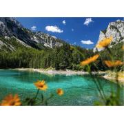 Puzzle Ravensburger Lago Verde cerca de Tragöb de 1000 Piezas