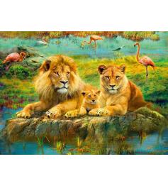 Puzzle Ravensburger Leones en la Sabana de 500 Piezas