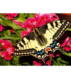 Puzzle Ravensburger Mariposa de 500 Piezas