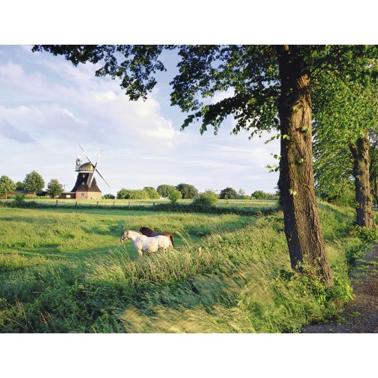 Puzzle Ravensburger Molino en el Campo de 2000 Piezas