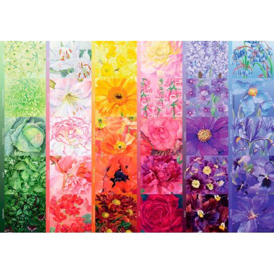 Puzzle Ravensburger Paleta del Jardinero de 1000 Piezas